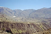 The Colca Valley is one of the most intensively terraced regions in the Andes 